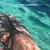 Cool Pool Reggae