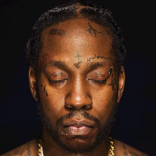 2 Chainz - Collegrove vinyl record cover