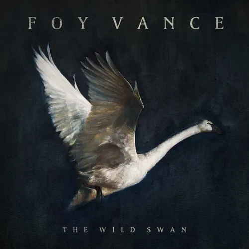 Foy Vance - Wild Swan (Asia)