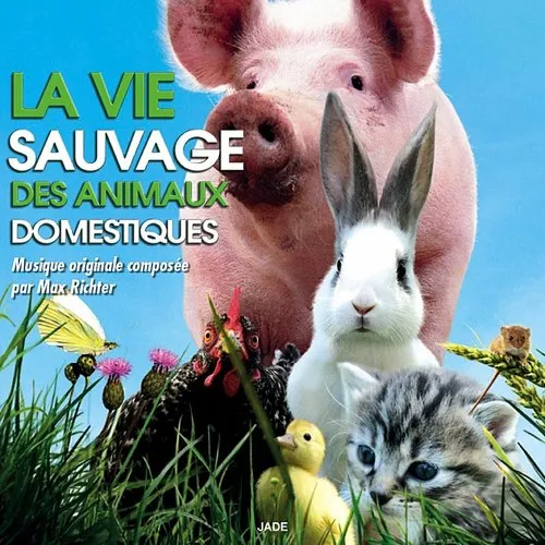 La Vie Sauvage Des Animaux Domestiq