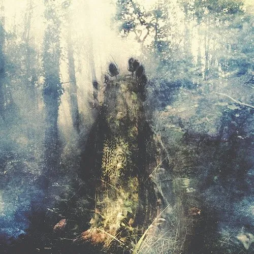 Sylvaine - Wistful (Bonus Track) [Clear Vinyl] (Gate) [Limited Edition] (Trq)