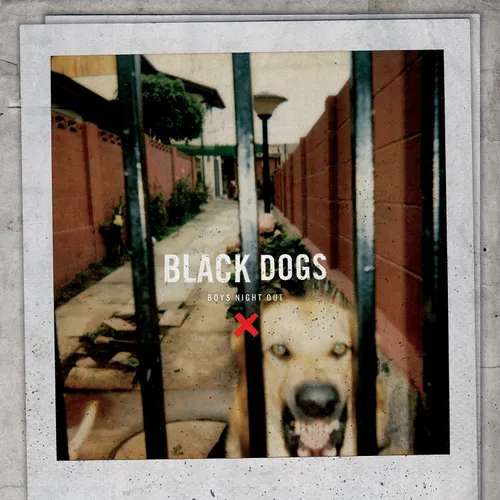 Boys Night Out - Black Dogs vinyl record cover