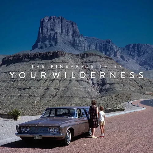 Pineapple Thief - Your Wilderness (picture Disc/limited)