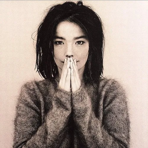 Bjork - Debut