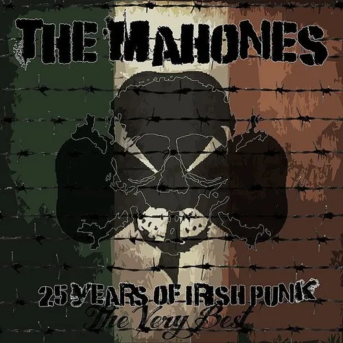 25 Years Of Irish Punk