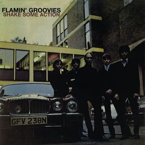 Flamin' Groovies - Shake Some Action