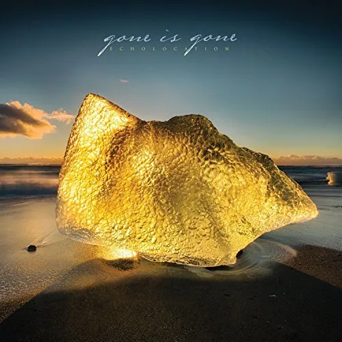 Gone Is Gone - Echolocation vinyl record cover