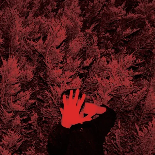 Cory Hanson - The Unborn Capitalist From Limbo vinyl record cover