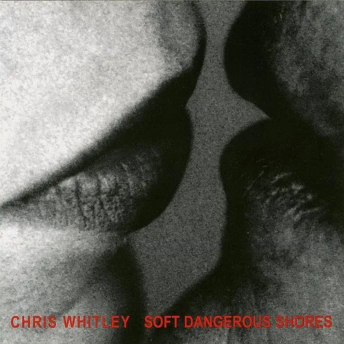 Soft Dangerous Shore