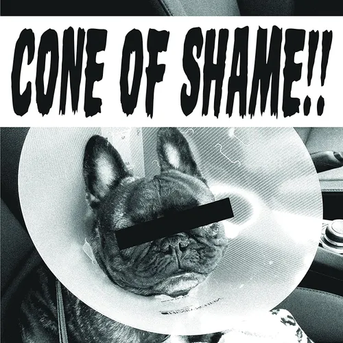 Faith No More - Cone Of Shame vinyl record cover