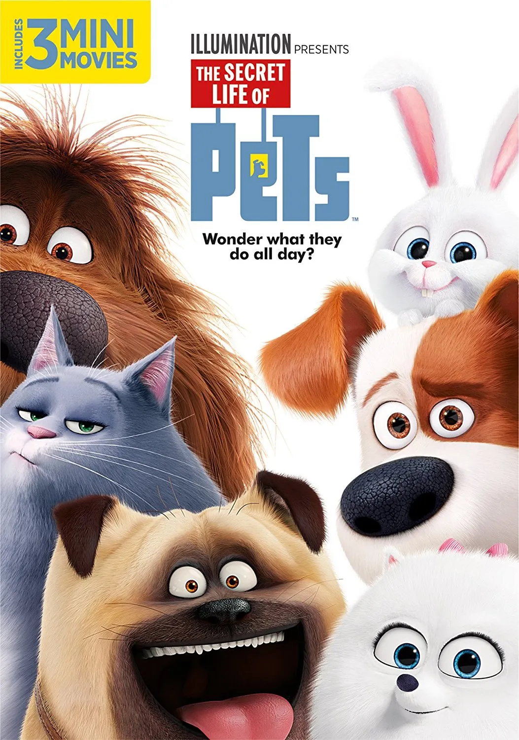 DVD · Universal Pictures