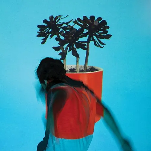 Local Natives - Sunlit Youth [Import]