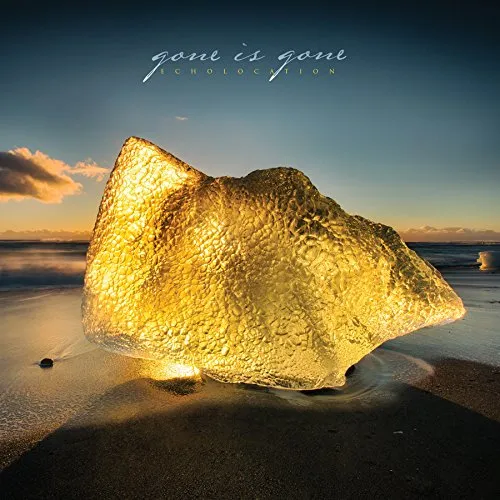Gone Is Gone - Echolocation vinyl record cover