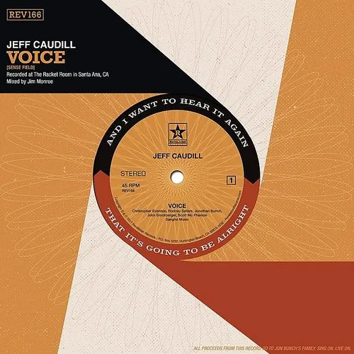 Voice / Wishing Well (teal Vinyl)