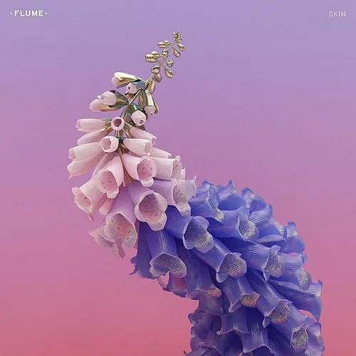 Flume - Skin [Indie Exclusive Low Price]