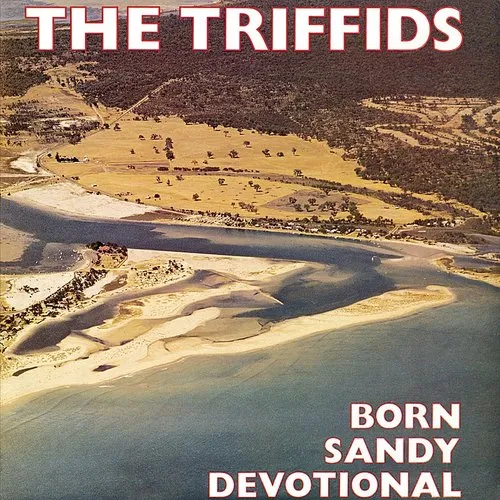 The Triffids - Born Sandy Devotional vinyl record cover