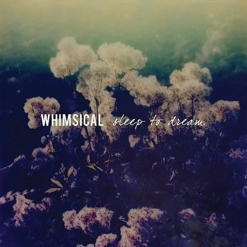 Sleep To Dream