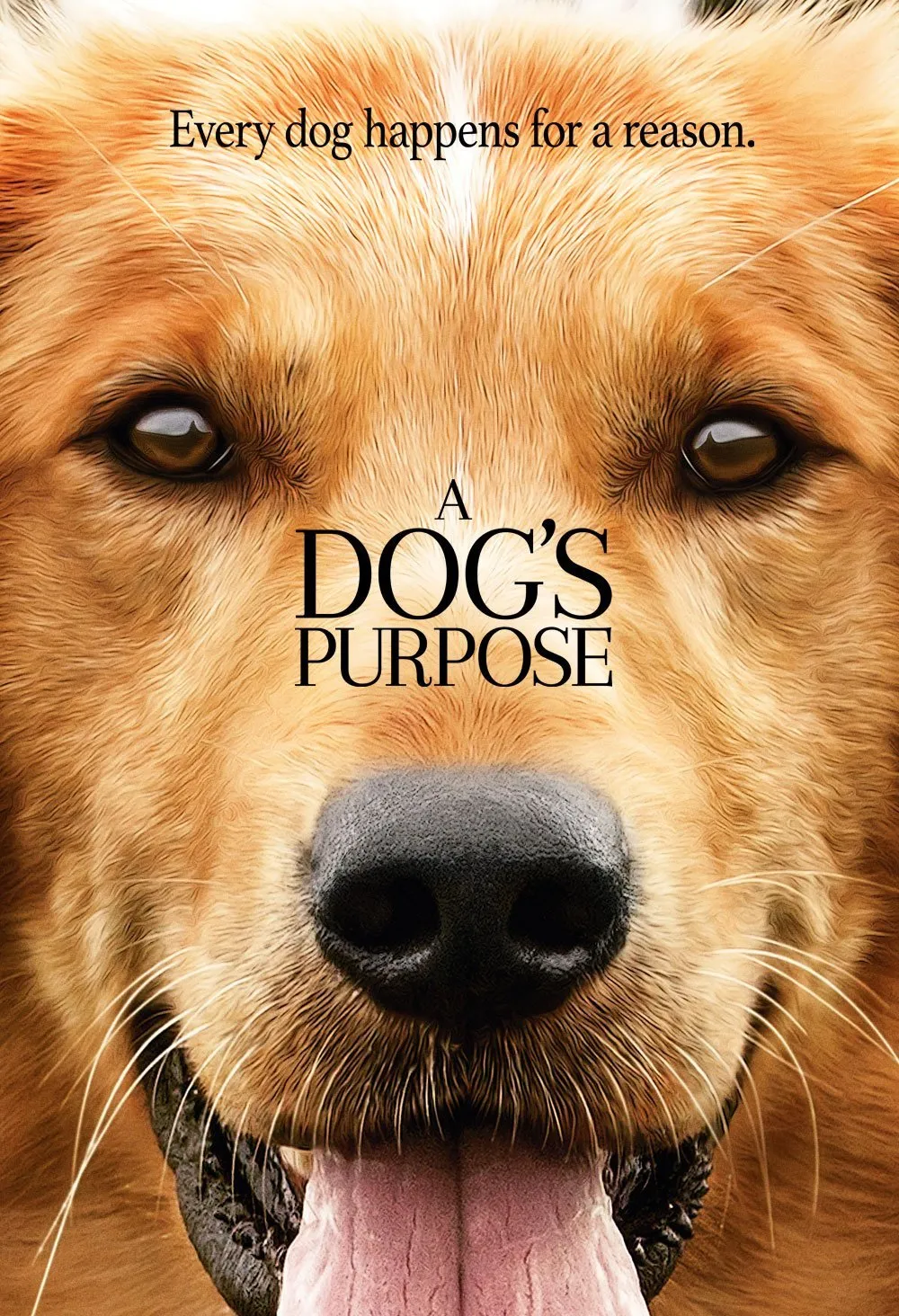 DVD · Universal Pictures