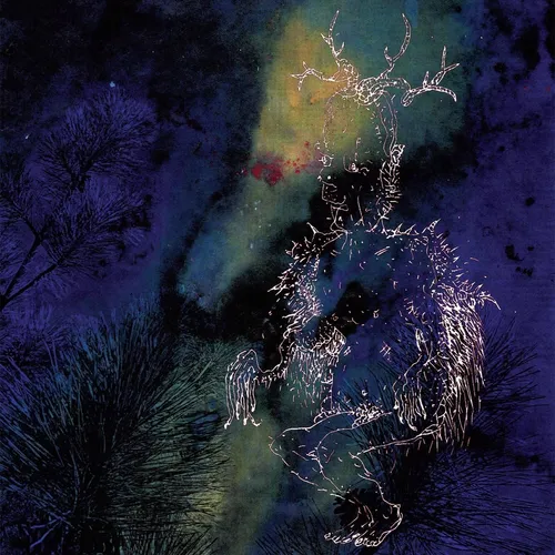 Bardo Pond - Under The Pines vinyl record cover