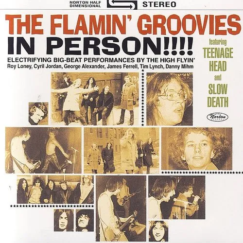 Flamin' Groovies - In Person