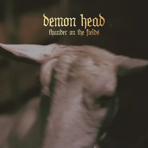 Demon Head - Thunder On The Fields vinyl record cover