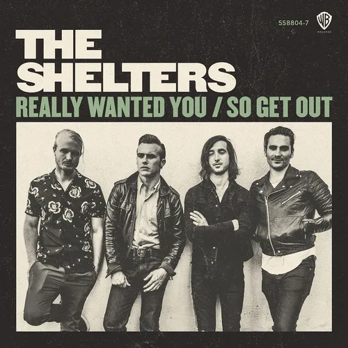 The Shelters - The Shelters Really Wanted You vinyl record cover