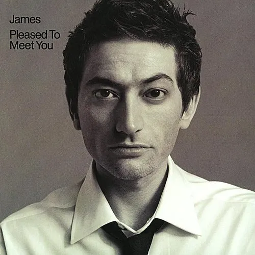 James - Pleased To Meet You (180-gram) vinyl record cover