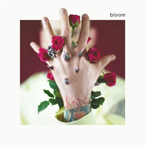 mgk - Bloom vinyl record cover