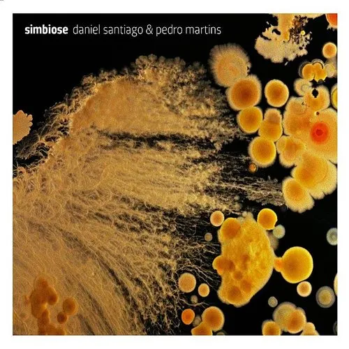 Simbiose