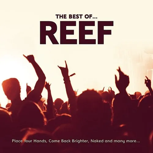 Best Of Reef