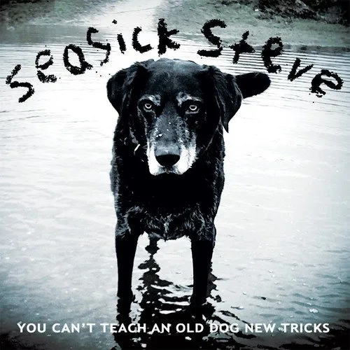 Seasick Steve - You Can't Teach An Old Dog New Tricks