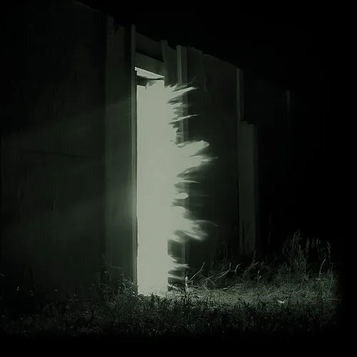 Fink - Horizontalism (hand Painted Vinyl)