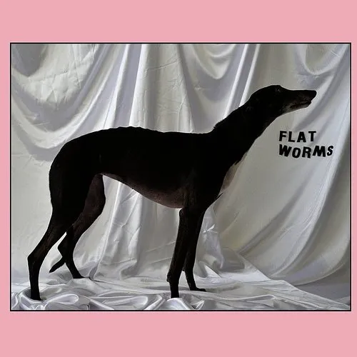 Flat Worms - Flat Worms vinyl record cover