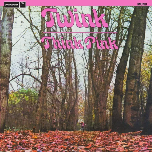 Twink - Think Pink (Uk) vinyl record cover