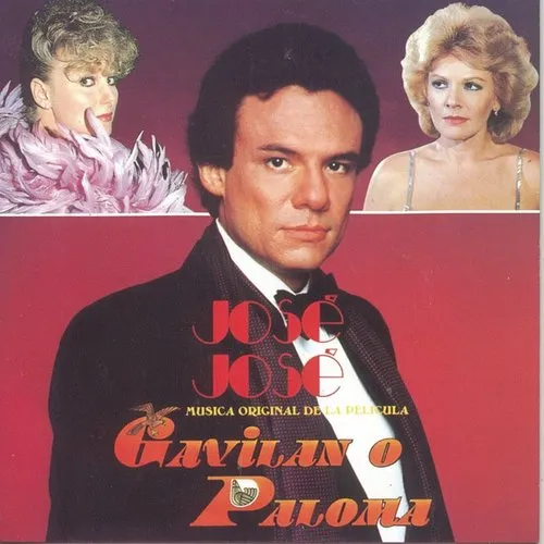 Gavilan O Paloma