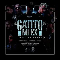 Gato Sphynx Blindão - song and lyrics by Lil Dr4c0