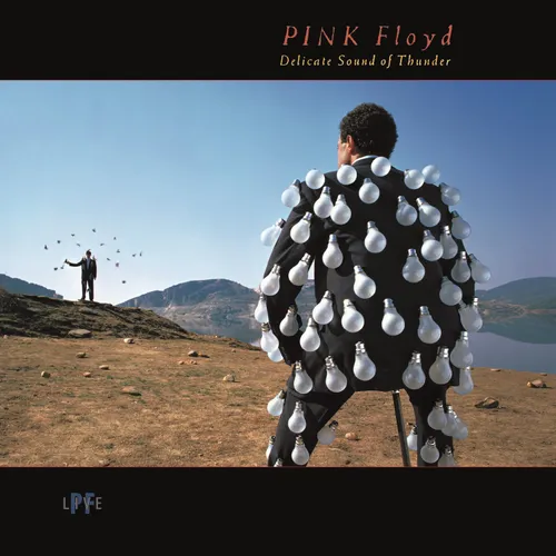 Pink Floyd - Delicate Sound Of Thunder (Uk) vinyl record cover
