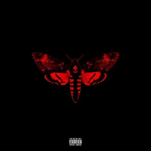 Lil Wayne - I Am Not a Human Being II vinyl record cover