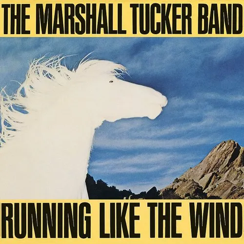 Marshall Tucker Band - Running Like The Wind
