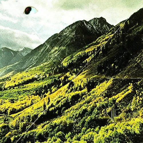 Woods - Songs of Shame vinyl record cover