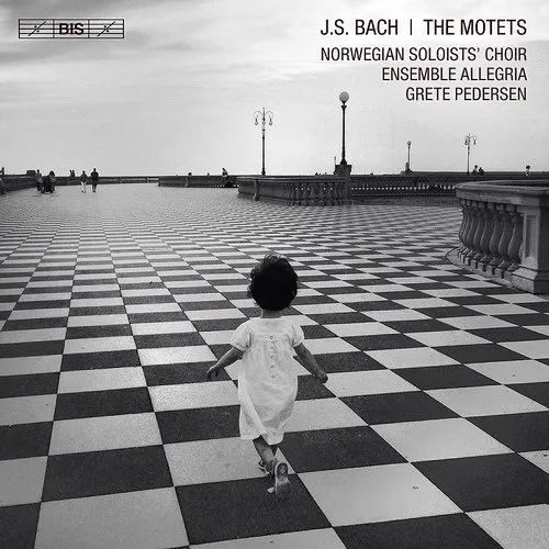 Motets