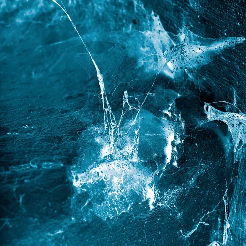 Arstidir - Hvel vinyl record cover