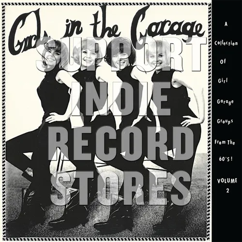 Various Artists - Girls In The Garage Volume 2