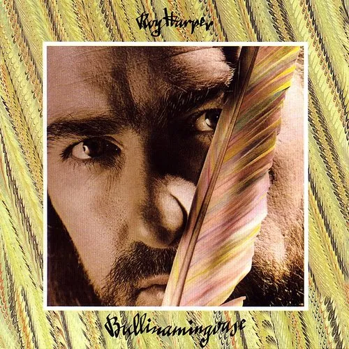 Roy Harper - Bullinamingvase