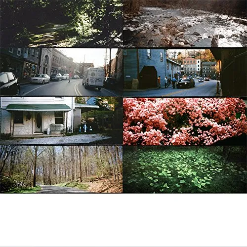 American Pleasure Club - A Whole Fucking Lifetime of This vinyl record cover