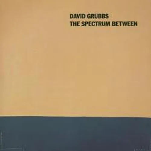 David Grubbs - Spectrum Between
