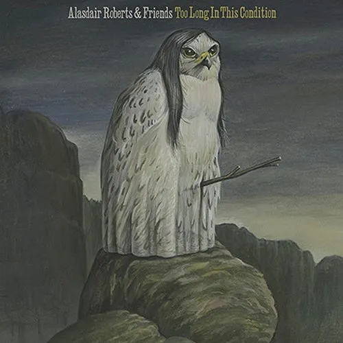 Alasdair Roberts - Too Long in This Condition vinyl record cover