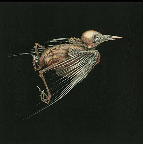 Jenny Hval - Meshes Of Voice vinyl record cover