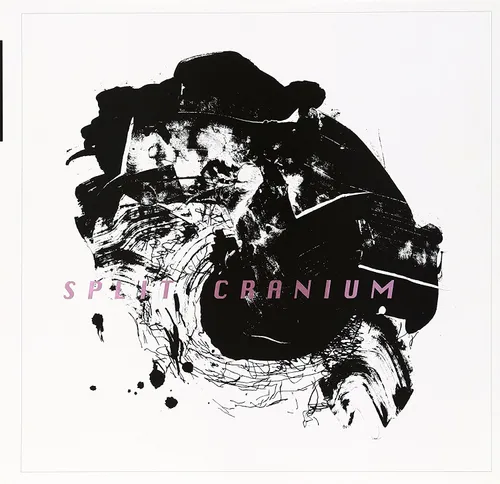 Split Cranium