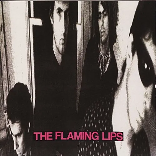 The Flaming Lips - In A Priest Driven Ambulance vinyl record cover